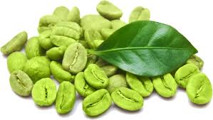 thành phần trong green coffee bean 